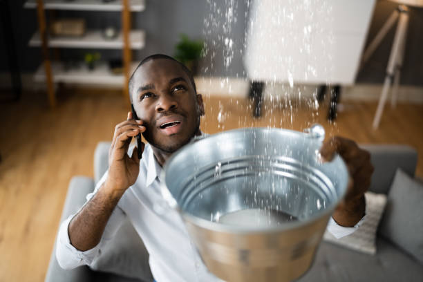 Best Carpet water damage restoration  in Ho Ho Kus, NJ