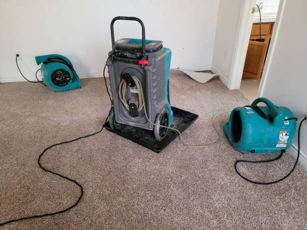 Best Mold removal after water damage  in Ho Ho Kus, NJ