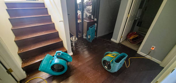 Best Carpet water damage restoration  in Ho Ho Kus, NJ