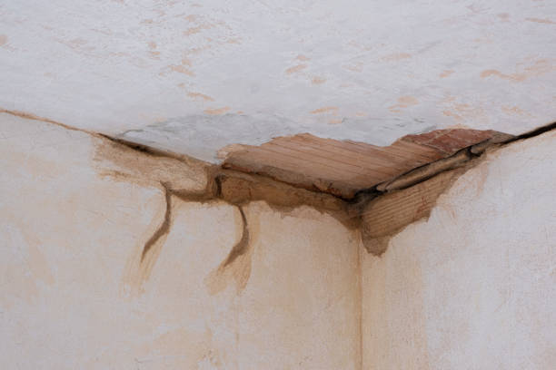 Best Water damage contractors near me  in Ho Ho Kus, NJ