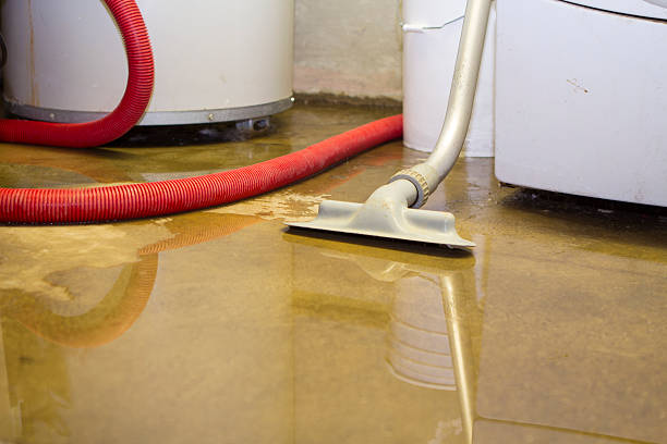 Best Flood restoration services  in Ho Ho Kus, NJ