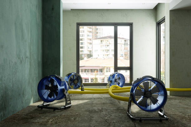 Best Fire Damage Restoration  in Ho Ho Kus, NJ